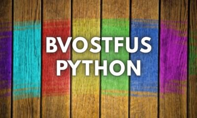 Bvostfus python