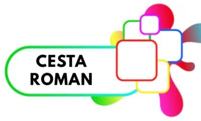 Cesta roman