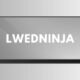 Lwedninja
