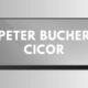 Peter bucher cicor
