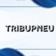 Tribupneu